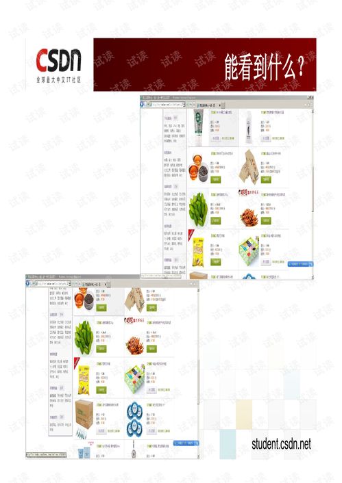 从产品bug看软件产品的设计与开发 以白慧冬与信息系统集成服务为例